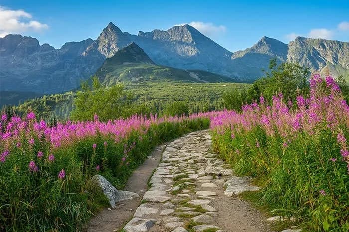 Polskie góry gdzie jechać: najlepsze miejsca na niezapomniany wypoczynek